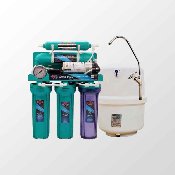 Deng Yuan TWB -12100-100 GPD RO Water filter