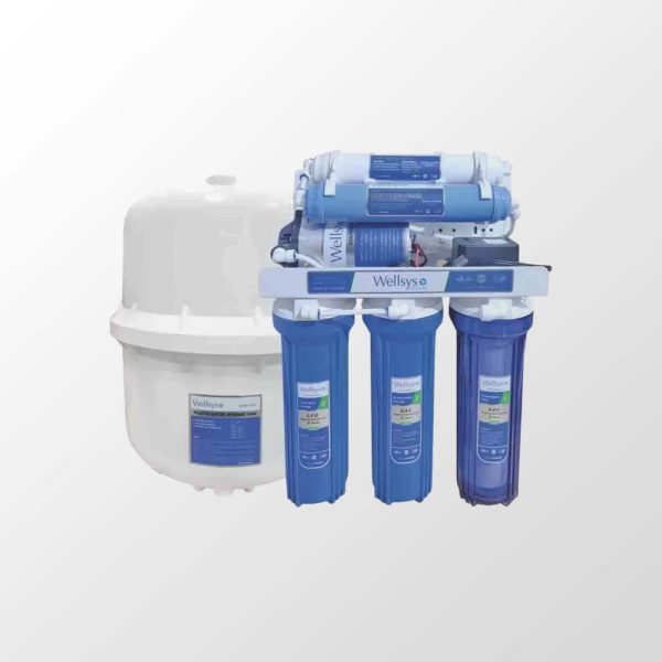 Wellsys RO 100B 6 Stage Water Purifier